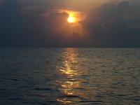 DSC01631