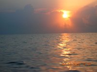 DSCN0593