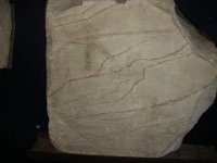 DSC01335