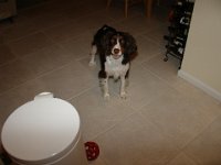 Maddie October 2005