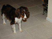 DSC01898