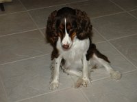 DSC01899