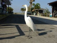 DSC00838