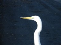 DSC00840