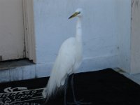 DSC00841