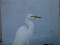 DSC00842
