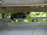 DSC00847