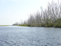 DSC00852