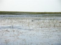 DSC00873