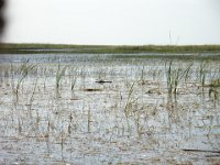DSC00874