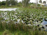 DSC00919