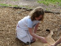 DSC00934