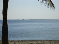 DSC00961