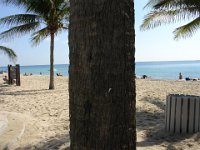 DSC00965