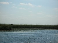 DSCN0146