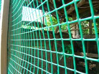 DSCN0156