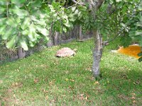 DSCN0162