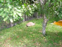 DSCN0163