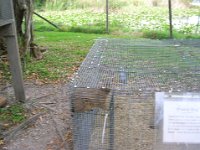 DSCN0172