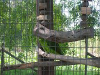 DSCN0176