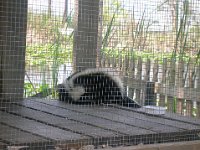 DSCN0177