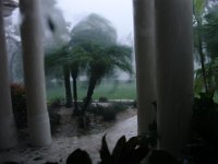DSC01909
