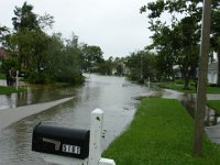 Street Flooded  Inspecting the flooding in our street while the hurricane eye was passing over us