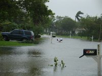 Street Flooded During the Eye  Someone trying to unblock the drains during the eye of the hurricane to stop the street flooding