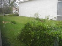 DSC01946