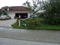 Tree down across the street  The tree down at the house opposite ours