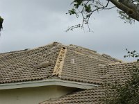 DSC01960
