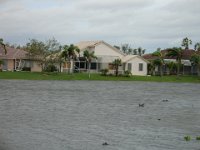 DSC01979