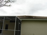 DSC01986