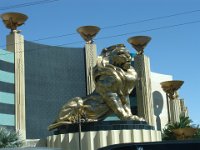 DSC01884