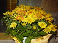 DSC03532