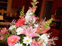 DSC03533