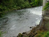 DSC01137