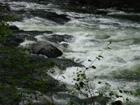 DSC01141