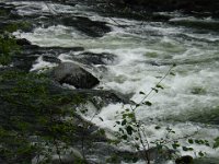 DSC01143