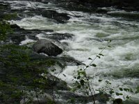 DSC01144