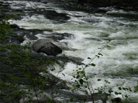 DSC01145