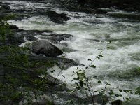 DSC01146