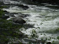 DSC01147