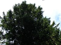 DSC01176