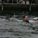 IMG 0211