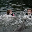 IMG 0221