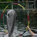 IMG 0224