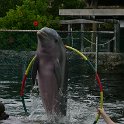 IMG 0228