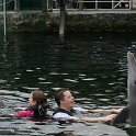 IMG 0229