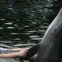 IMG 0230